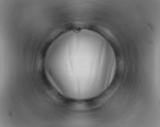 X0000114220266200910231449