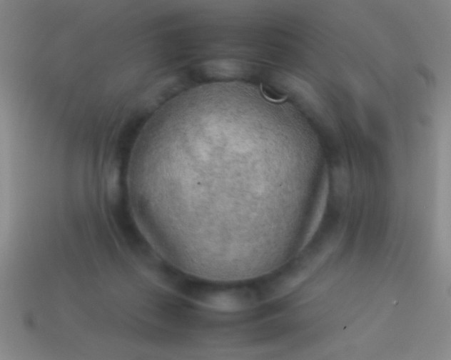 X0000114220267200910231449