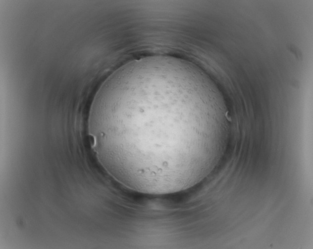 X0000114220268200910231449