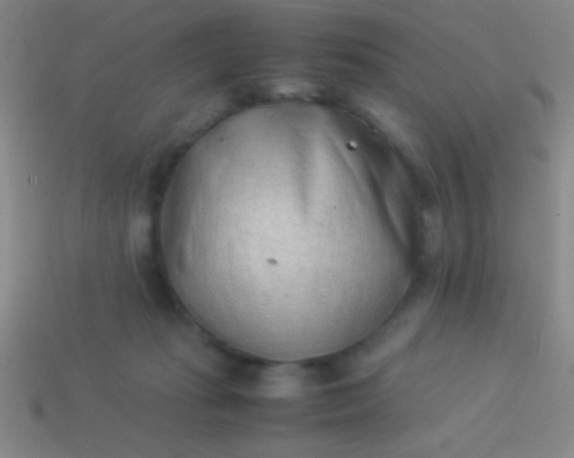 X0000114220269200910231449