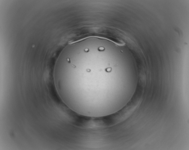 X0000114220270200910231449