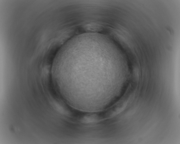 X0000114220271200910231449