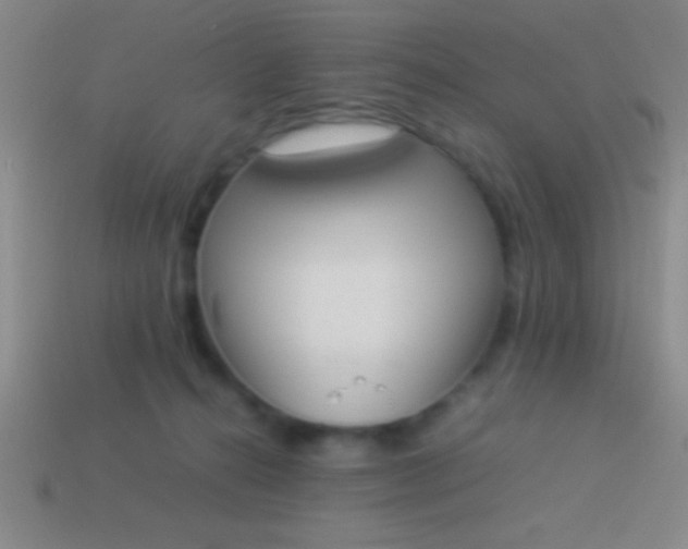 X0000114220272200910231449