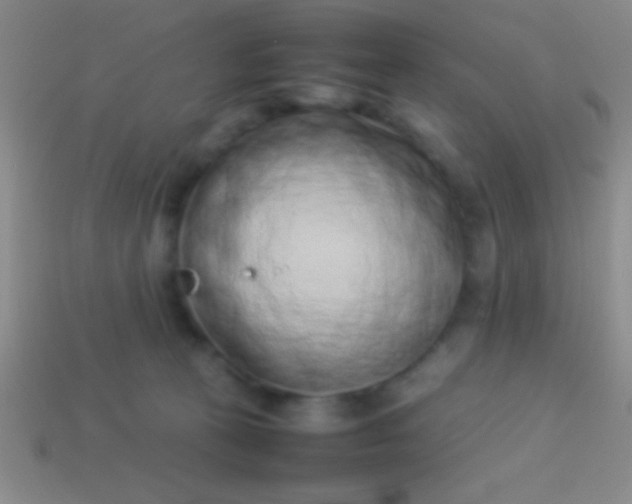 X0000114220273200910231449