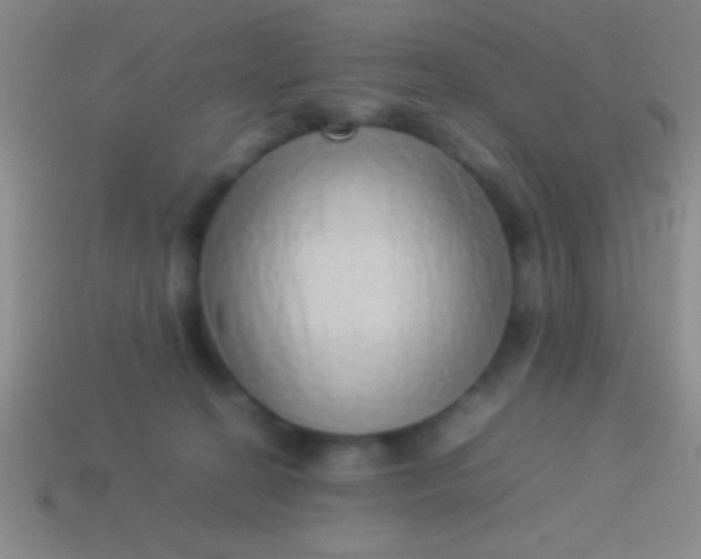 X0000114220274200910231449