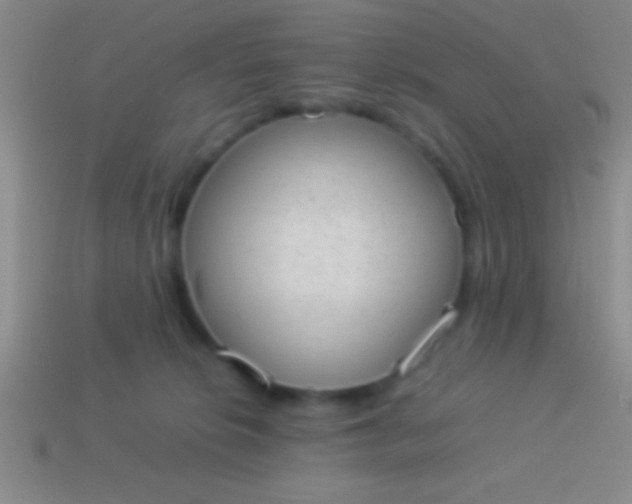 X0000114220276200910231449