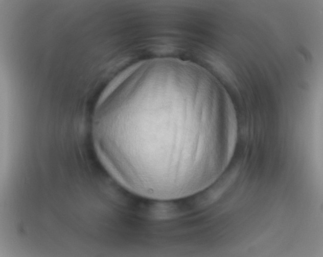 X0000114220277200910231449