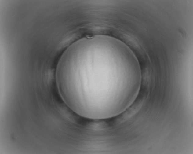 X0000114220278200910231449