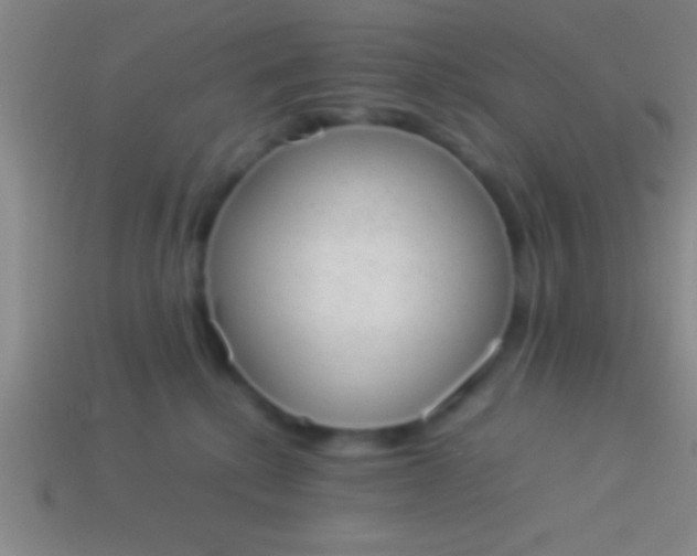 X0000114220280200910231449