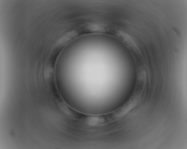 X0000114220281200910231449