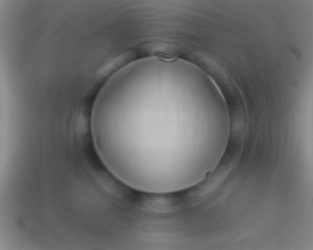 X0000114220282200910231449