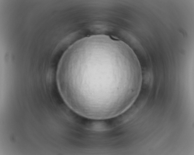 X0000114220283200910231449