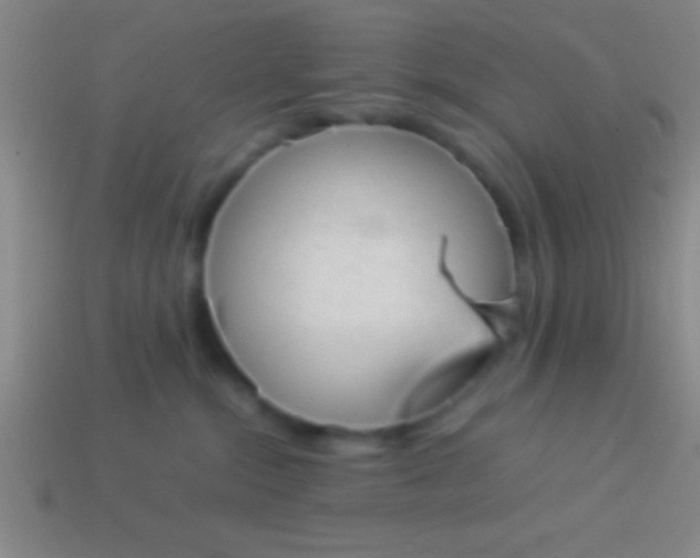 X0000114220284200910231449