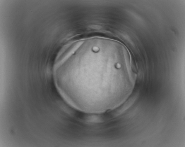 X0000114220285200910231449