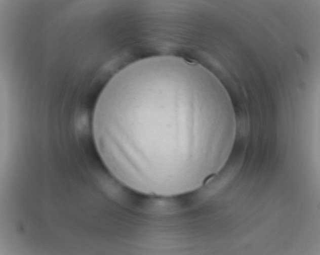 X0000114220286200910231449