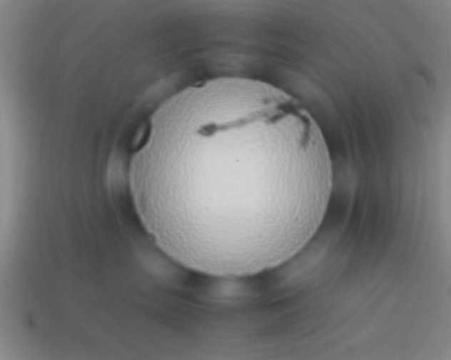 X0000114220287200910231449