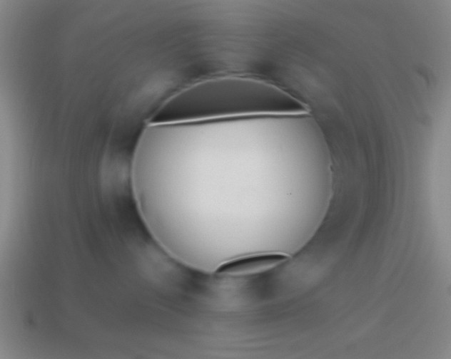 X0000114220288200910231449