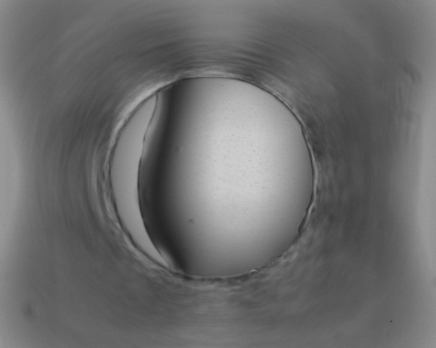 X0000114220289200910231449