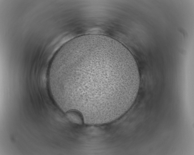 X0000114220290200910231449