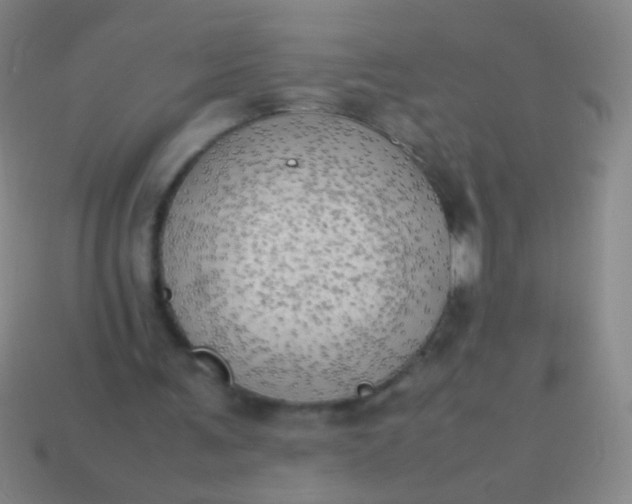 X0000114220291200910231448