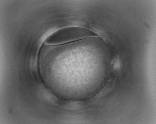 X0000114220292200910231448