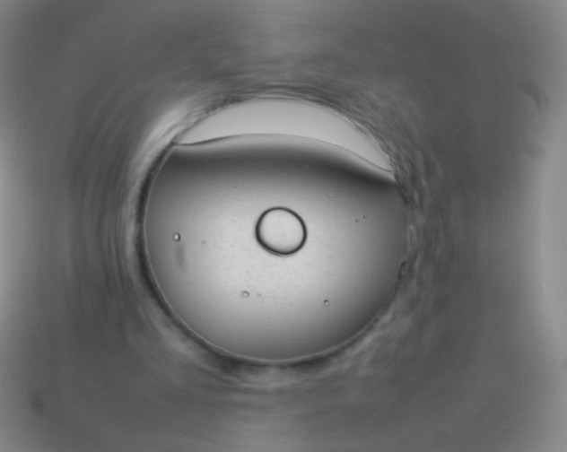 X0000114220293200910231448