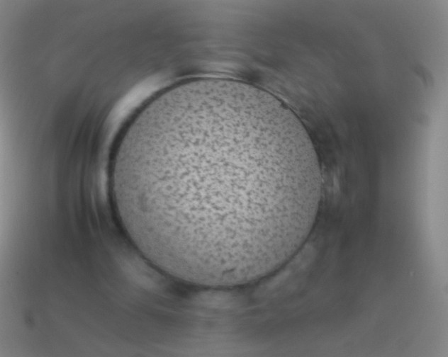 X0000114220294200910231448