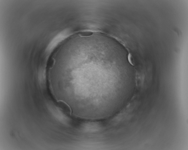 X0000114220296200910231448