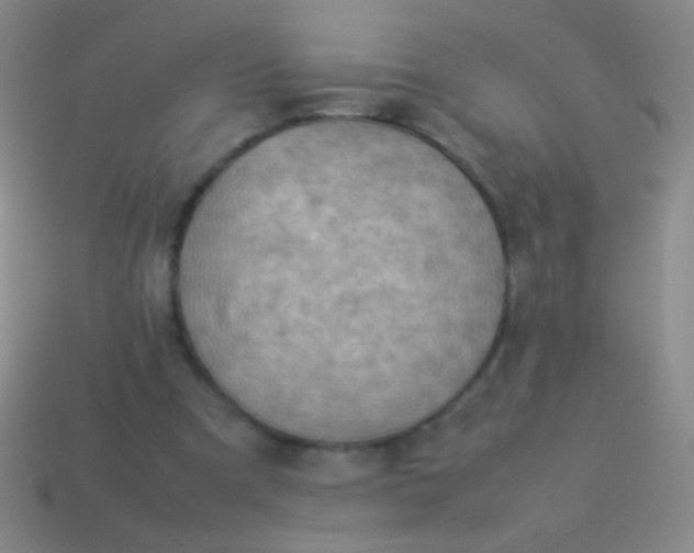 X0000114220297200910231448