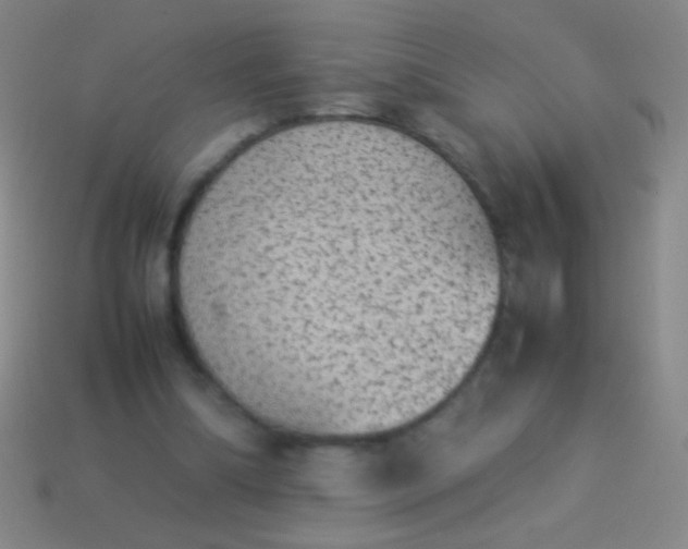 X0000114220298200910231448