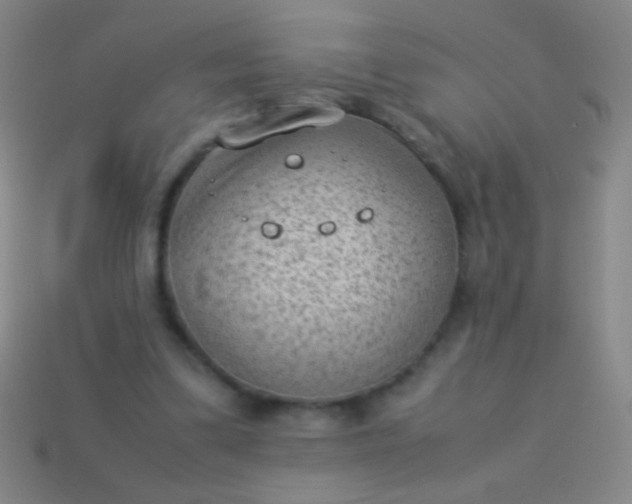 X0000114220299200910231448