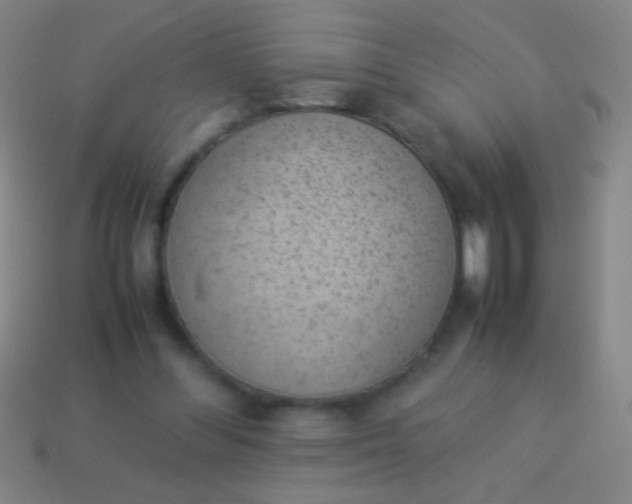 X0000114220300200910231448