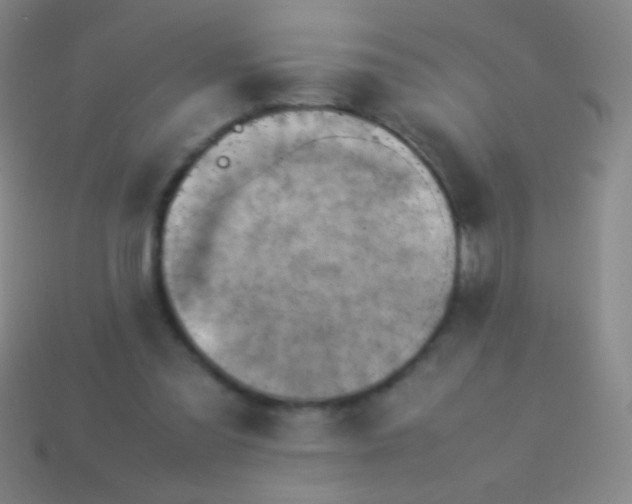 X0000114220301200910231448