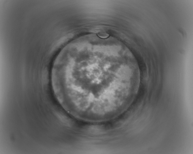 X0000114220303200910231448