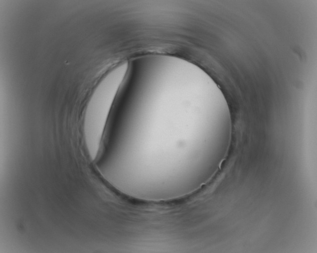 X0000114220305200910231448