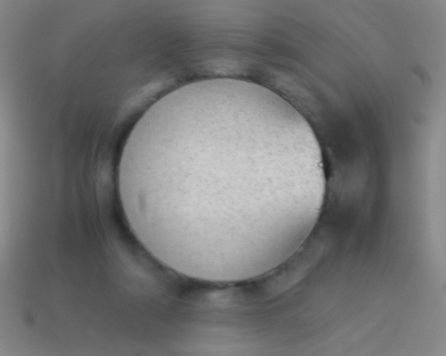 X0000114220306200910231448