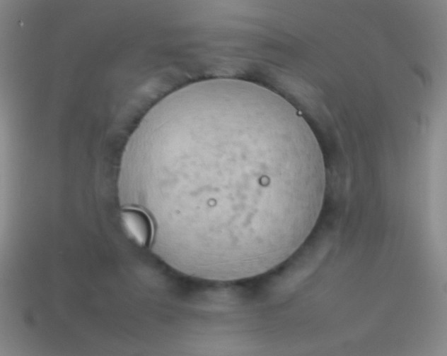 X0000114220307200910231448