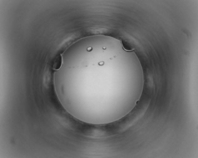 X0000114220308200910231448