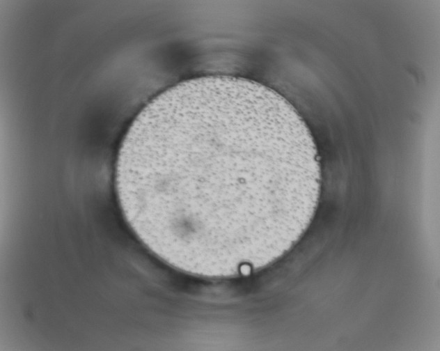 X0000114220309200910231448