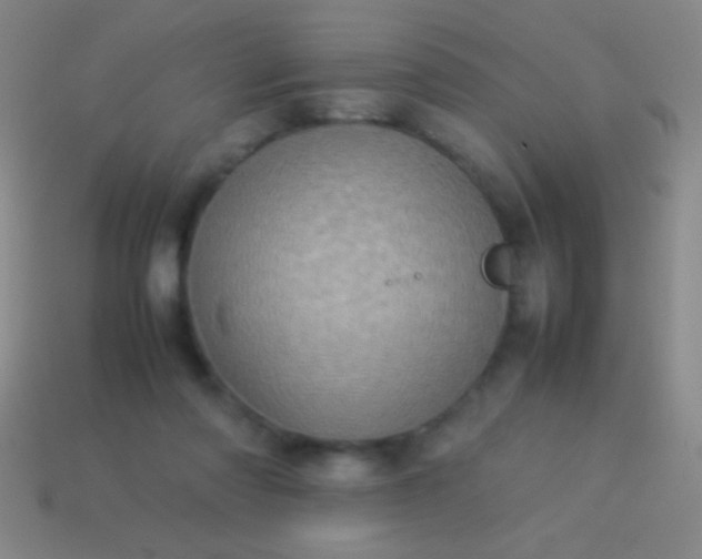 X0000114220310200910231448