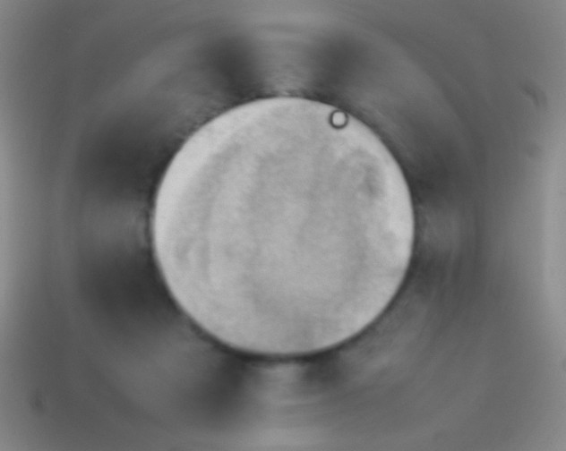 X0000114220313200910231448