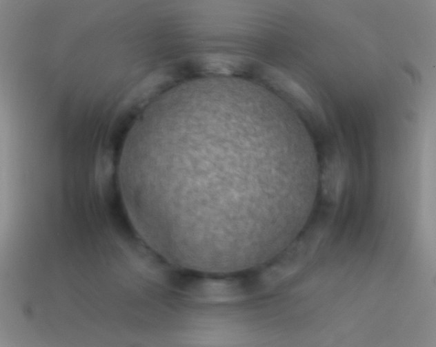 X0000114220314200910231448