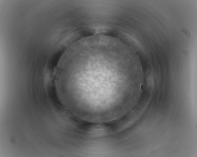 X0000114220316200910231448