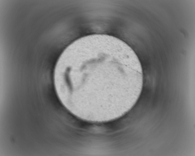 X0000114220317200910231448