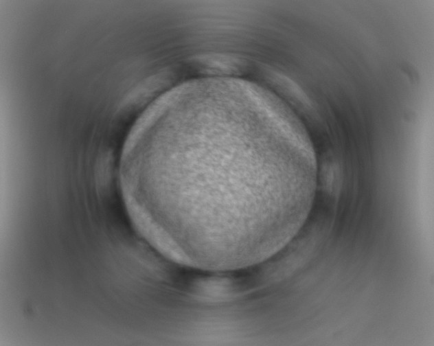 X0000114220318200910231448