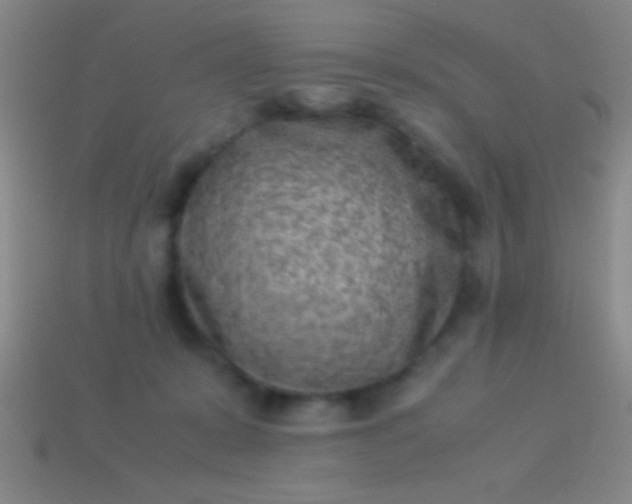 X0000114220319200910231448