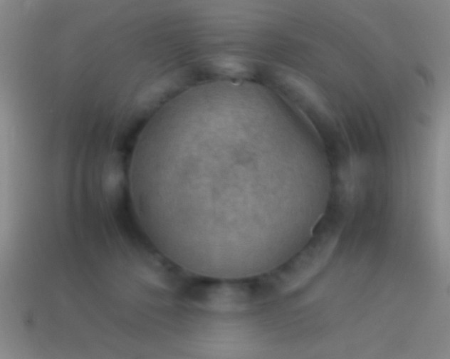 X0000114220320200910231448