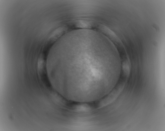 X0000114220322200910231448