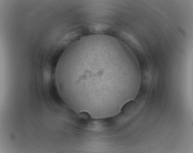 X0000114220324200910231448