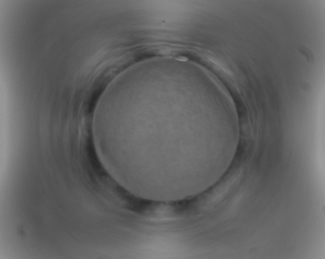 X0000114220325200910231448